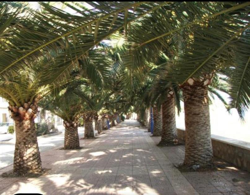 Vcc Home'S El Puerto de Mazarrón Kültér fotó